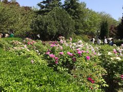 -西安青龙寺遗址景区
