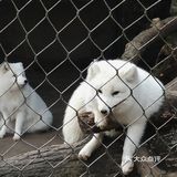 冬天来杭州动物园也有意思