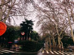 -武汉大学-樱园
