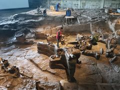 -自贡恐龙博物馆