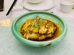 -丁老爷子苏香圆