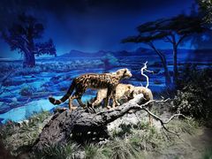 -国家自然博物馆