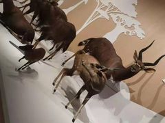 -陕西自然博物馆