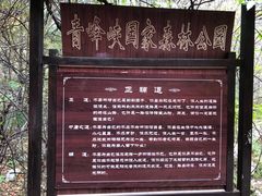 -青峰峡国家森林公园