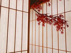 -和枫(众意路店)