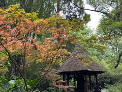 -成都武侯祠博物馆