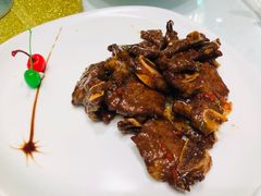 -蝶园·装修中(BFC外滩金融中心店)