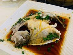 鲈鱼-渝君重庆火锅(嘉宾路店)