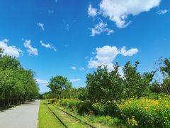 -永定河休闲森林公园