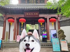 -杭州黄龙洞