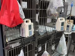 -达爱动物医院·犬猫分区·CT·复杂眼科(远洋山水分院)