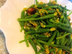 炝香黄瓜苗-文三里屯面馆(三里屯店)