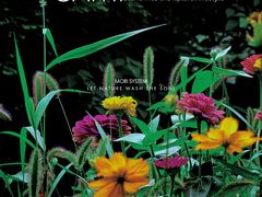 -桤木河湿地公园