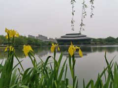 -杭州城北体育公园