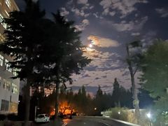 -二红烧烤排骨串(麦岛店)