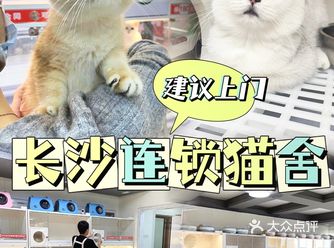 中国人不骗中国人|长沙靠谱猫舍