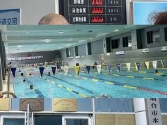 -奥体中心游泳馆