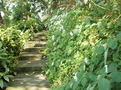 -鼓楼(西湖风景名胜区)