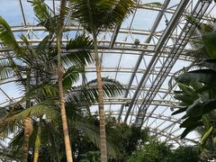 -北京植物园-展览温室