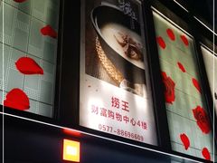 -捞王猪肚鸡火锅(财富中心店)