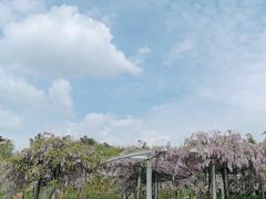 -黄龙溪欢乐田园