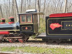 -合肥滨湖国家森林公园