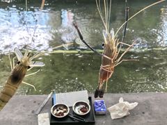 -光头佬室内钓虾场·烧烤·团建·亲子(中山八路店)