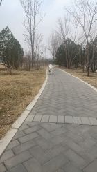 -北京京通医院医疗美容