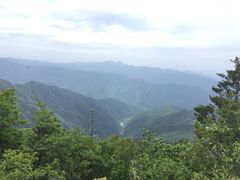 牛背梁自然保护区-牛背梁国家森林公园