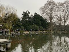 -西湖外事游船(花港观鱼码头)