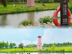 -三垟湿地
