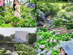 -天适樱花悠乐园