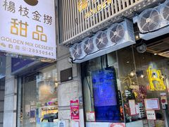 -杨枝金捞甜品(氹仔泉澧店)