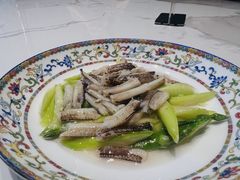 -新光酒家·河豚·海鲜·蟹料理(浦东店)