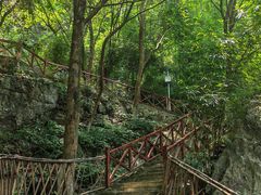 -仙岛湖旅游风景区