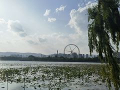 -庾园