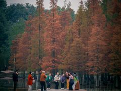 -白鹭湾湿地公园