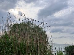 -东方绿舟景区