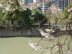 -红星桥(地铁站)