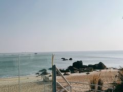 -玫瑰海岸文化旅游度假区