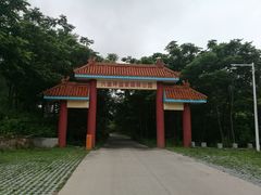 -六里坪国家森林公园