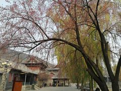 -晋祠公园