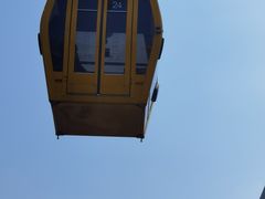 -上海野生动物园