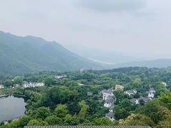 -南山植物园