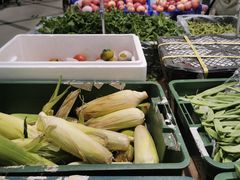 -京客隆超市(北苑店)