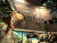 -湖南省地质博物馆