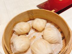 -金悦轩海鲜城(渔人码头店)