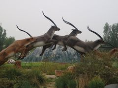 -武清南湖绿博园