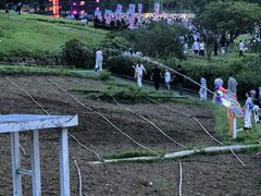 -大塘金香草谷