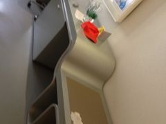 -深圳东部华侨城茵特拉根酒店